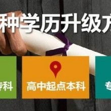 成都市金牌思維教育咨詢有限責(zé)任公司 專業(yè)教育咨詢，點亮成長之路